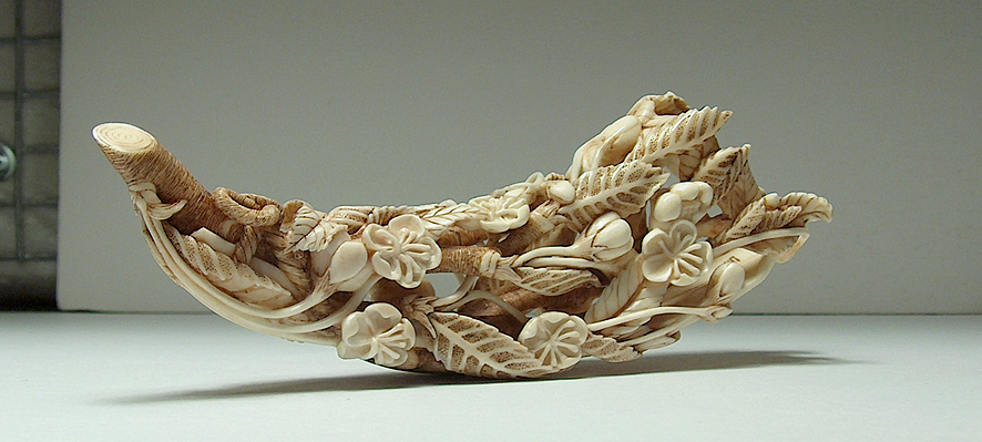 Blossoming Cherry Branch 001